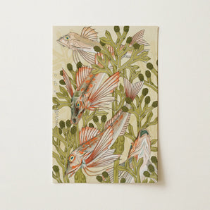 Rouget - Maurice Pillard Verneuil Art Nouveau Print / Canvas, Auguste Racinet, Maurice Pillard Verneuil, Art Nouveau Fish Print