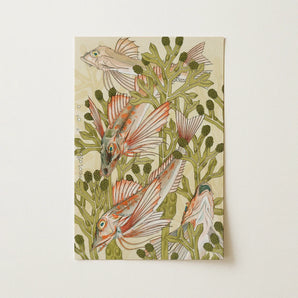 Rouget - Maurice Pillard Verneuil Art Nouveau Print / Canvas Rectangular Art Print Intricately Illustrated Fish Among Green Auguste