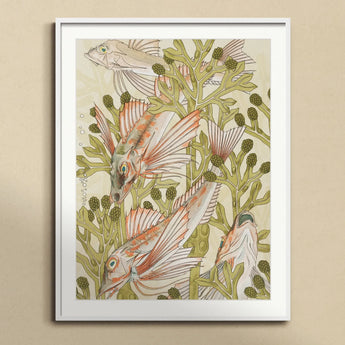 Rouget - Maurice Pillard Verneuil Art Nouveau Print, Framed Fish Artwork