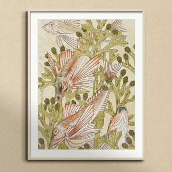 Rouget - Maurice Pillard Verneuil Art Nouveau Print, Framed Fish Illustration