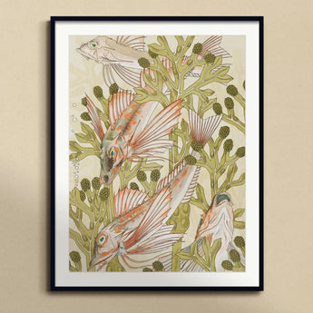 Rouget - Maurice Pillard Verneuil Art Nouveau Print, Framed Fish Illustration