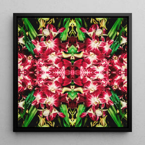 Ruby Reds - Bangkok Orchid Art Framed Canvas, 12x12’’ / 31x31cm / Black Floating Frame, Symmetrical Kaleidoscopic Pattern Vibrant Red