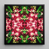 Ruby Reds - Bangkok Orchid Art Framed Canvas, 12x12’’ / 31x31cm / Black Floating Frame, Symmetrical Kaleidoscopic Pattern Vibrant Red