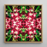 Ruby Reds - Bangkok Orchid Art Framed Canvas, 12x12’’ / 31x31cm / Natural Floating Frame, Framed Square Artwork Kaleidoscopic Pattern