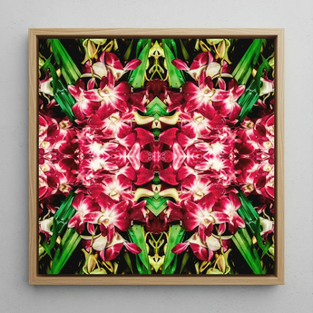 Ruby Reds - Bangkok Orchid Art Framed Canvas, 12x12’’ / 31x31cm / Natural Floating Frame, Framed Square Artwork Kaleidoscopic Pattern