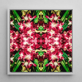 Ruby Reds - Bangkok Orchid Art Framed Canvas, 12x12’’ / 31x31cm / White Floating Frame, Symmetrical Floral Artwork