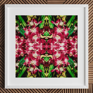 Ruby Reds - BKK Flower Market Orchid Op Art Print