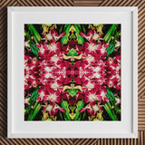 Ruby Reds - Bkk Flower Market Orchid Op Art Print, 12x12’’ / 31x31cm / Weißer Rahmen / 2’’ Passepartout, Poster Drucke & Visuelle Kunstwerke, Toby