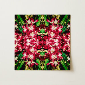 Ruby Reds - Bkk Flower Market Orchid Op Art Print / Canvas, 12x12’’ / 31x31cm / Unframed / no Border, Posters Prints & Visual Artwork, Toby