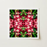 Ruby Reds - Bkk Flower Market Orchid Op Art Print / Canvas Square-framed Artwork Vibrant Symmetrical Kaleidoscopic Pattern Deep Red