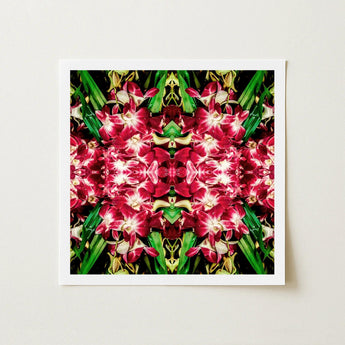 Ruby Reds - Bkk Flower Market Orchid Op Art Print / Canvas Square-framed Artwork Vibrant Symmetrical Kaleidoscopic Pattern Deep Red