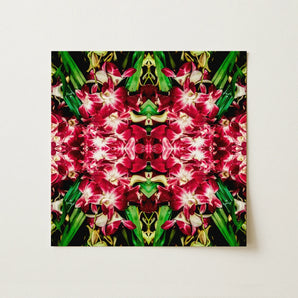 Ruby Reds - Bkk Flower Market Orchid Op Art Print / Canvas, Bangkok’s Vibrant Flower, Bangkok Flower Market, Kaleidoscopic Art Print