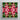 Square-framed Artwork Vibrant Symmetrical Kaleidoscopic Pattern Deep Pink Bangkok’s Flower, Bangkok Market, Art Print