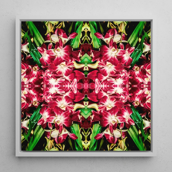 Ruby Reds - Bkk Flower Market Orchid Op Art Print / Canvas Square-framed Artwork Vibrant Symmetrical Kaleidoscopic Pattern Deep Pink