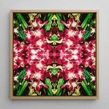 Ruby Reds - Bkk Flower Market Orchid Op Art Print / Canvas Square-framed Artwork Vibrant Symmetrical Mandala Design Deep Pink Bangkok’s