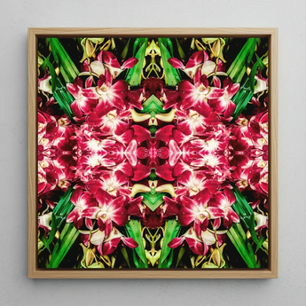 Ruby Reds - Bkk Flower Market Orchid Op Art Print / Canvas Square-framed Artwork Vibrant Symmetrical Mandala Design Deep Pink Bangkok’s