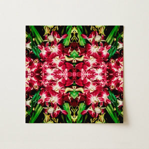 Ruby Reds - Bkk Flower Market Orchid Op Art Print / Canvas Vibrant Red White Orchid Flowers Green Leaves Arranged Bangkok’s Flower, Bangkok