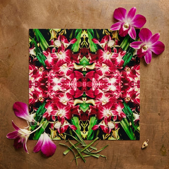 Ruby Reds - Bkk Flower Market Orchid Op Art Print / Canvas Vibrant Square Print Symmetrical Kaleidoscopic Pattern Pink White Bangkok’s