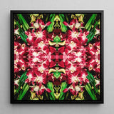 Ruby Reds - Bkk Flower Market Orchid Op Art Print / Canvas Vibrant Symmetrical Floral Artwork Deep Red White Orchids Bangkok’s Flower,