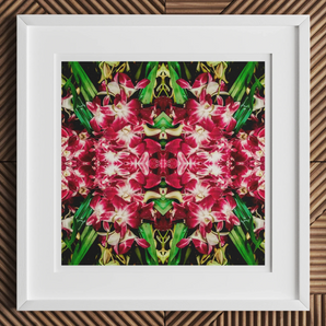 Ruby Reds - Bkk Flower Market Orchid Op Art Print, Framed Kaleidoscopic Floral Artwork Vibrant Red Green Patterns