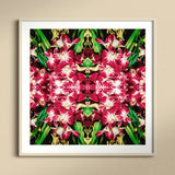 Ruby Reds - Bkk Flower Market Orchid Op Art Print, Kaleidoscopic Pattern Pink Orchids Green Leaves White Frame