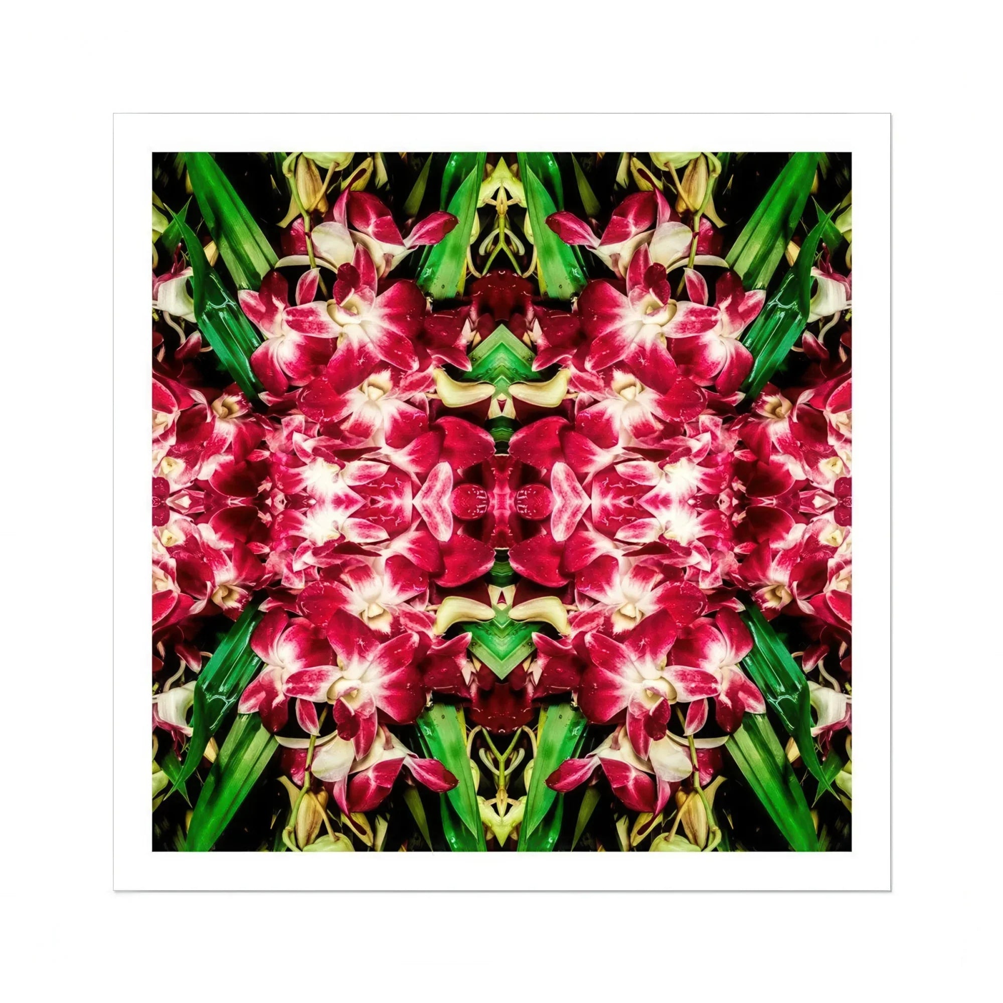 Ruby Reds - Bkk Flower Market Orchid Op Art Print Posters Prints & Visual Artwork