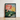 Framed Artwork Detailed Illustration Pink Yellow Lotus Flowers Robert John Thornton, Sacred Egyptian Bean, Thornton’s