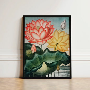Sacred Egyptian Bean - Robert John Thornton Art Print / Canvas Framed Artwork Detailed Illustration Pink Yellow Lotus Flowers, Thornton’s