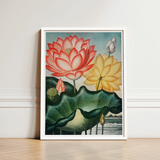 Sacred Egyptian Bean - Robert John Thornton Art Print / Canvas Framed Artwork Vibrant Red Yellow Lotus Flower Green, Thornton’s Prints