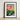 Framed Botanical Illustration Vibrant Pink Yellow Lotus Flowers Robert John Thornton, Sacred Egyptian Bean, Thornton’s