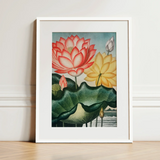 Sacred Egyptian Bean - Robert John Thornton Art Print / Canvas Framed Botanical Illustration Vibrant Pink Yellow Lotus Flowers Robert John