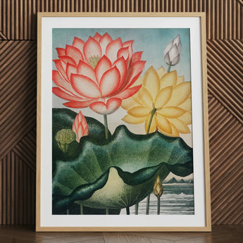 Sacred Egyptian Bean - Robert John Thornton Art Print / Canvas Framed Botanical Illustration Vibrant Pink Yellow Lotus Flowers Robert John