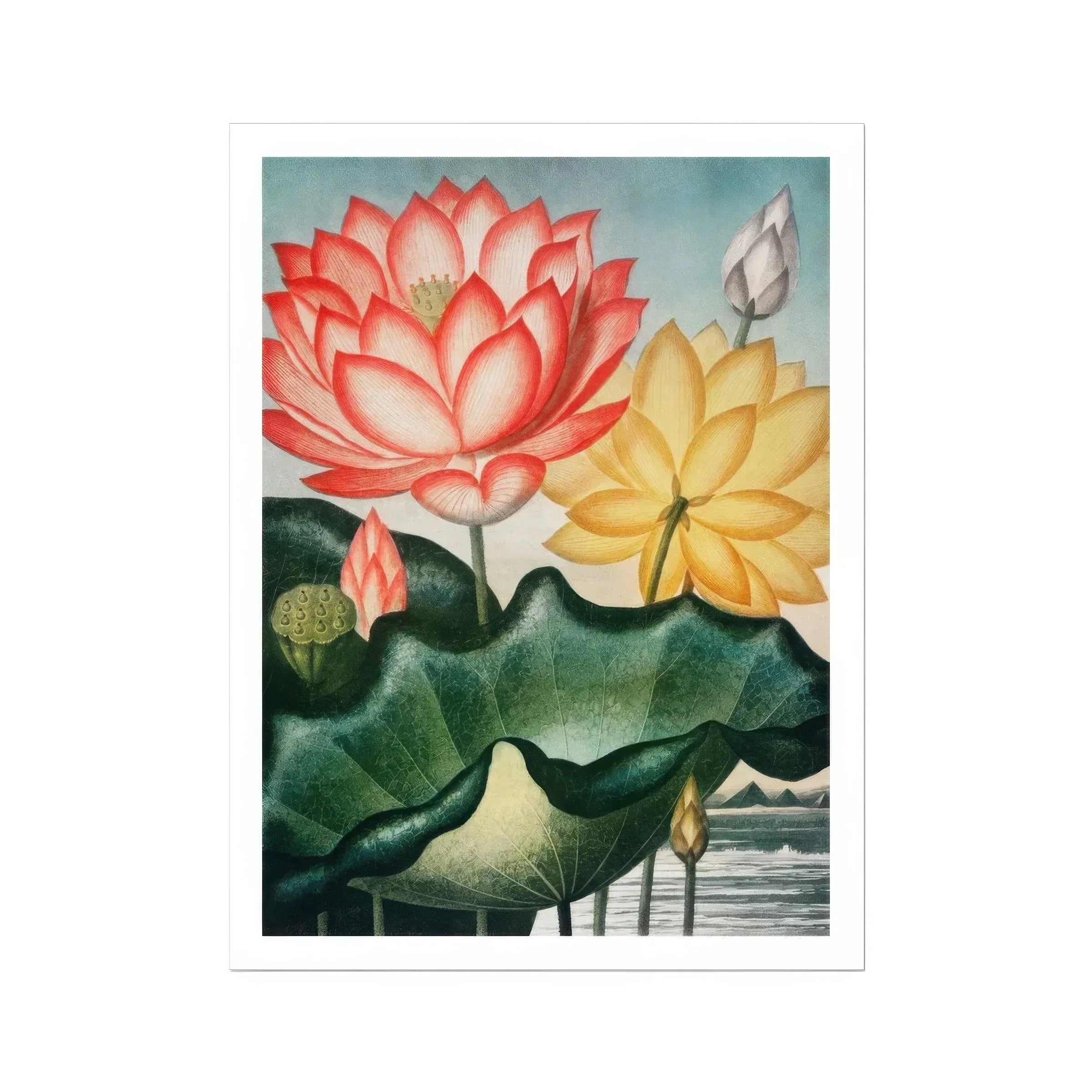 Sacred Egyptian Bean - Robert John Thornton Art Print, Coral Pink Yellow Lotus Flowers Among Green Lily