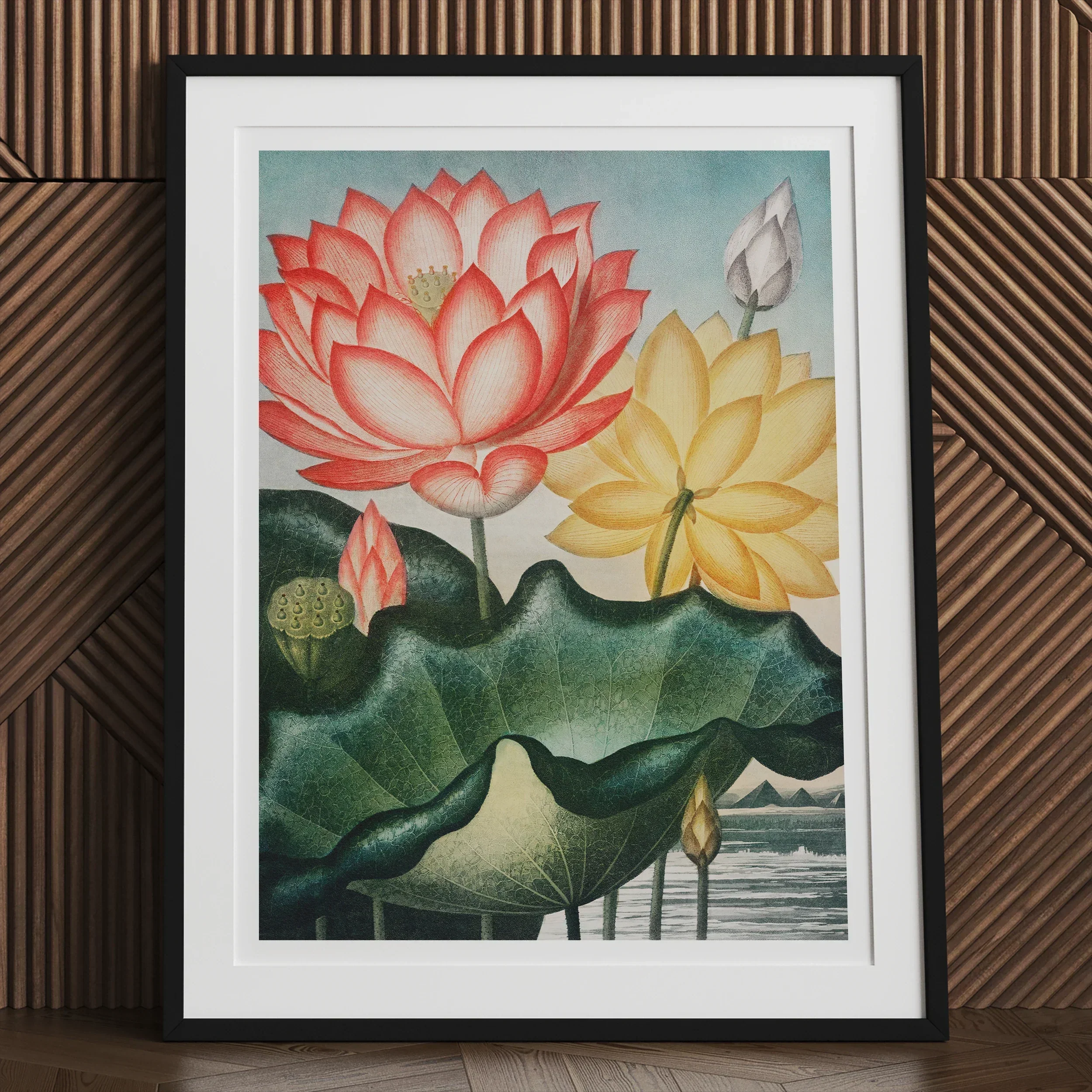 Sacred Egyptian Bean - Robert John Thornton Art Print, Framed Artwork Colorful Lotus Flowers Large Green Leaves