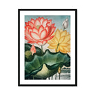 Sacred Egyptian Bean - Robert John Thornton Art Print, Framed Botanical Illustration Coral Yellow Lotus Flowers Green
