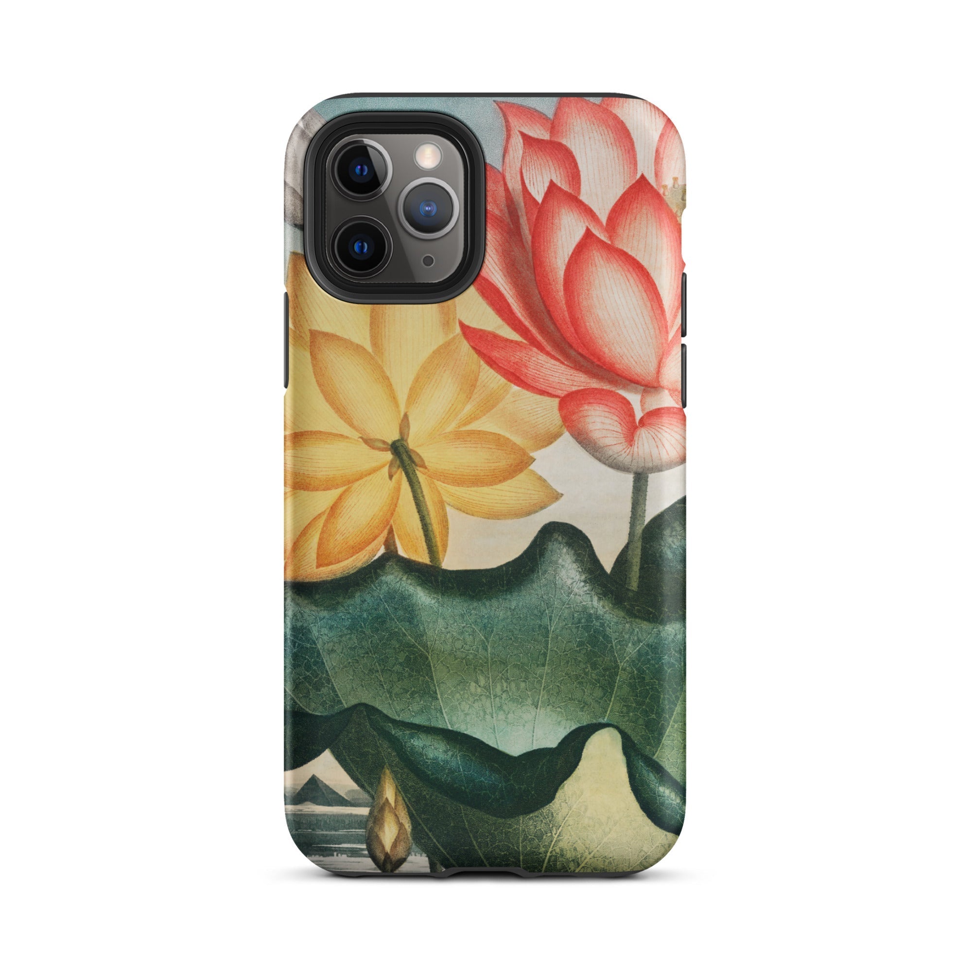 Sacred Egyptian Bean Robert John Thornton Iphone Case, 11 Pro / Matte, Floral Patterned Phone Case