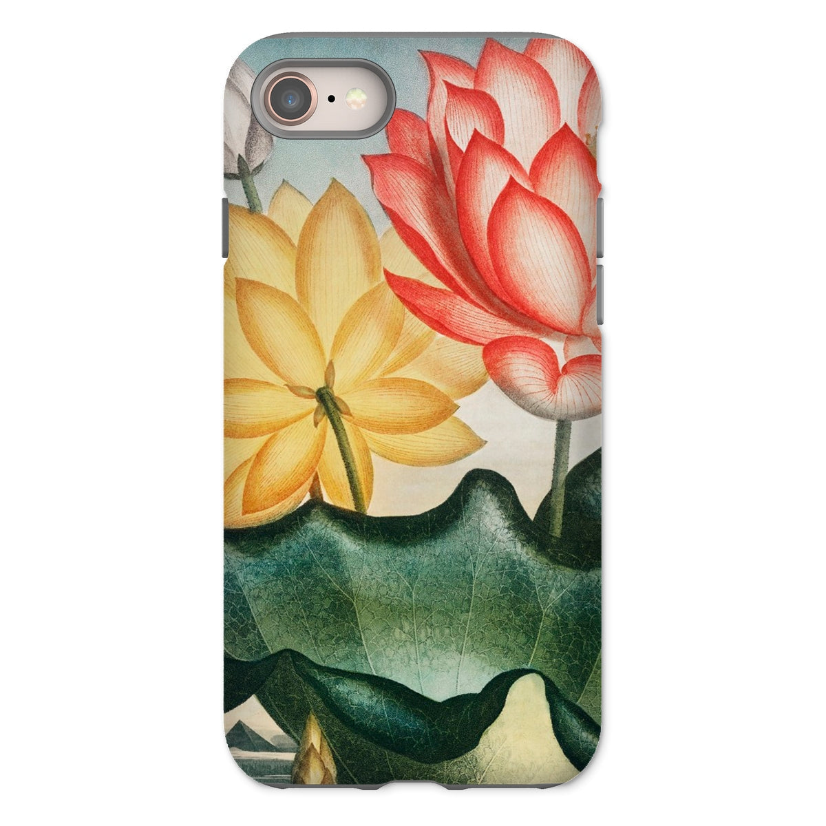 Sacred Egyptian Bean - Robert John Thornton Iphone Case, 8 / Matte, Floral-patterned Phone Case