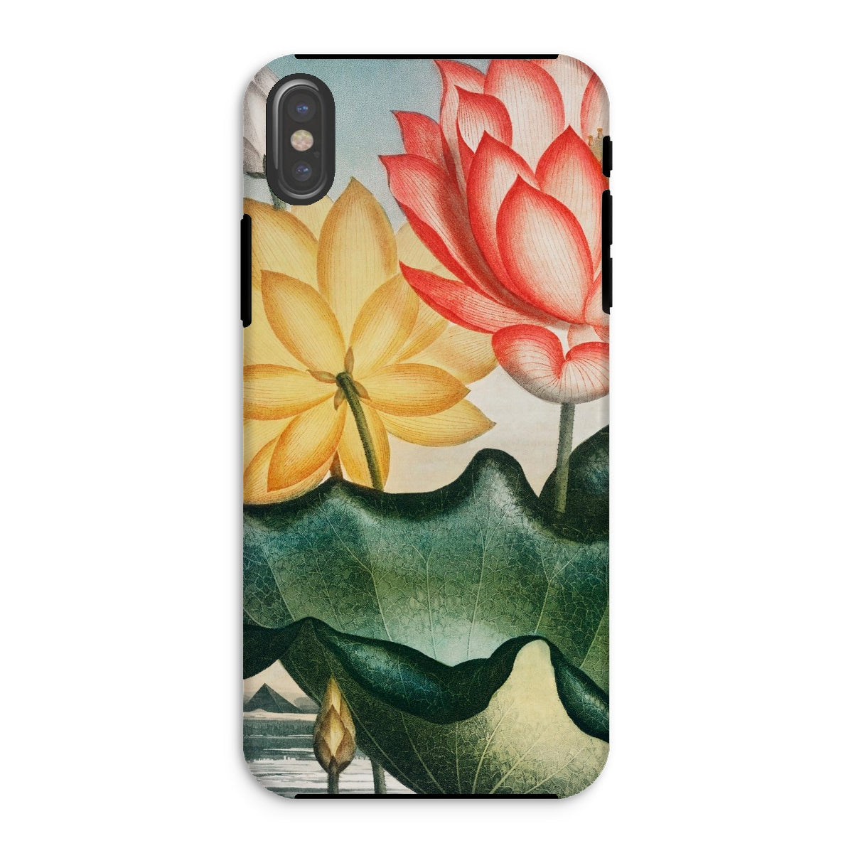 Sacred Egyptian Bean Robert John Thornton Iphone Case, Xs / Matte, Floral Patterned Phone Case