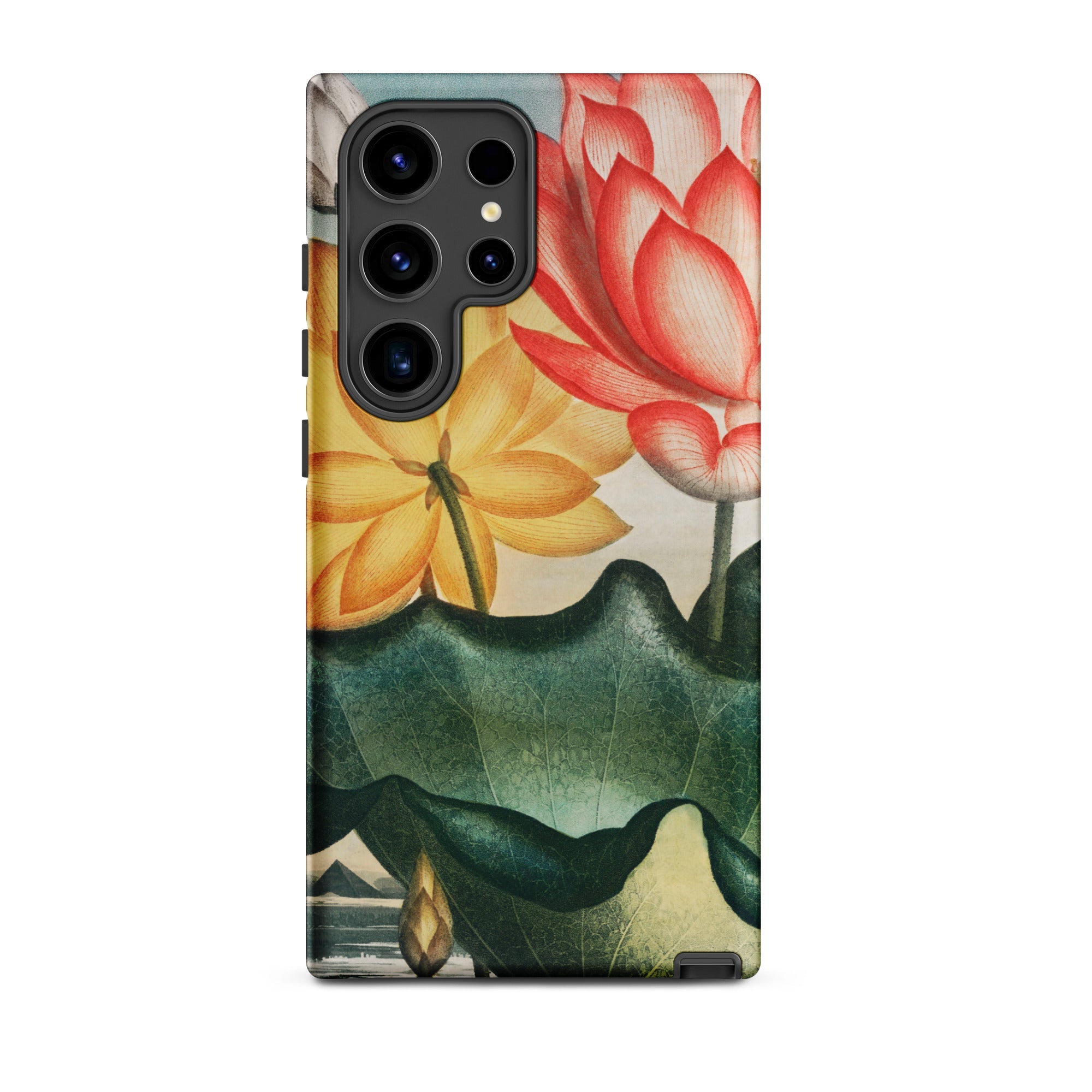 Sacred Egyptian Bean Robert John Thornton Samsung Case, Galaxy S24 Ultra / Matte, Smartphone Botanical Illustration Lotus Flowers Case