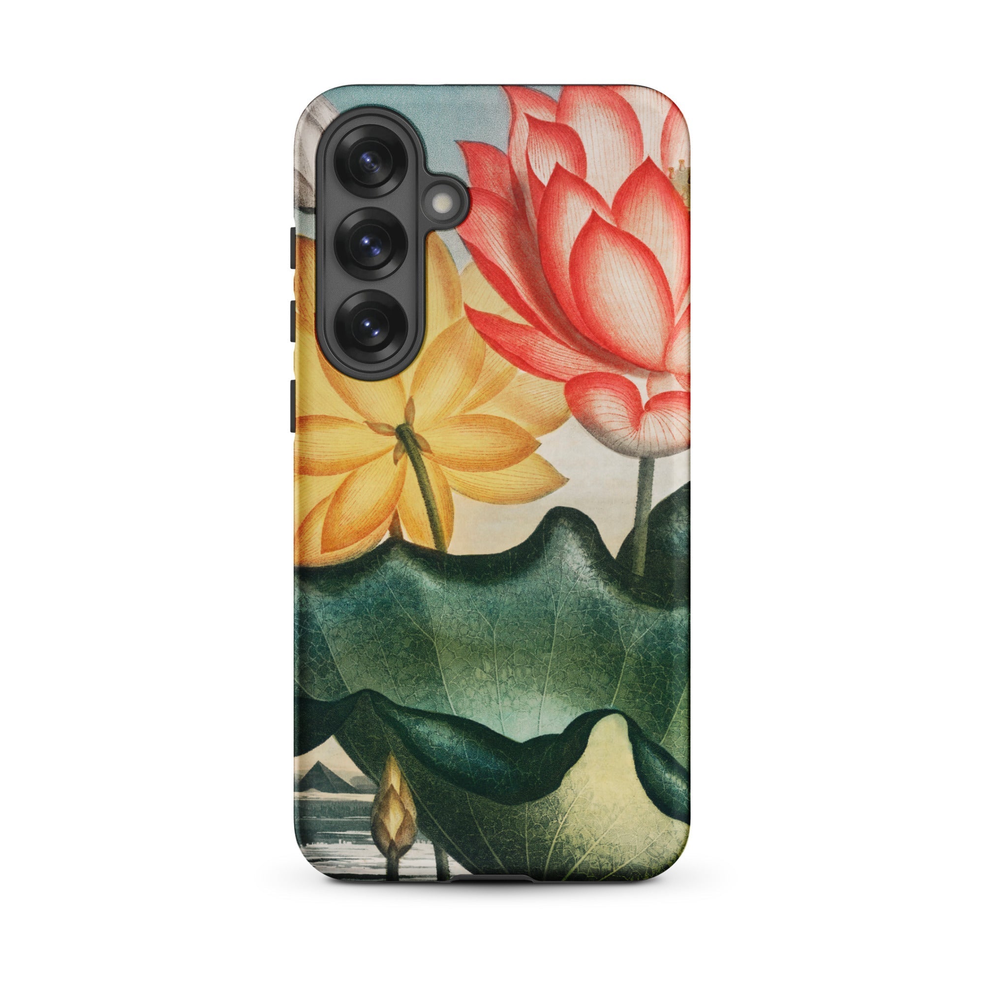 Sacred Egyptian Bean Robert John Thornton Samsung Case, Galaxy S25 Plus / Matte, Smartphone Case Botanical Illustration Lotus Flowers