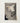 Delicate White Owl Intricate Feather Perched Dark Branch Scops, Ohara Koson, Art Print, Moonlight Catches