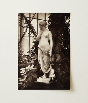 Sepia-toned Photograph Classical Marble Statue Nude Female Figure Venus Turns, Sepia Toning Warms, Passionflower Vines Climb, Art Print,