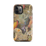 Sea Anemones - Ernst Haeckel Iphone Case, 11 Pro / Matte, Sea Anemone Patterned Phone Case