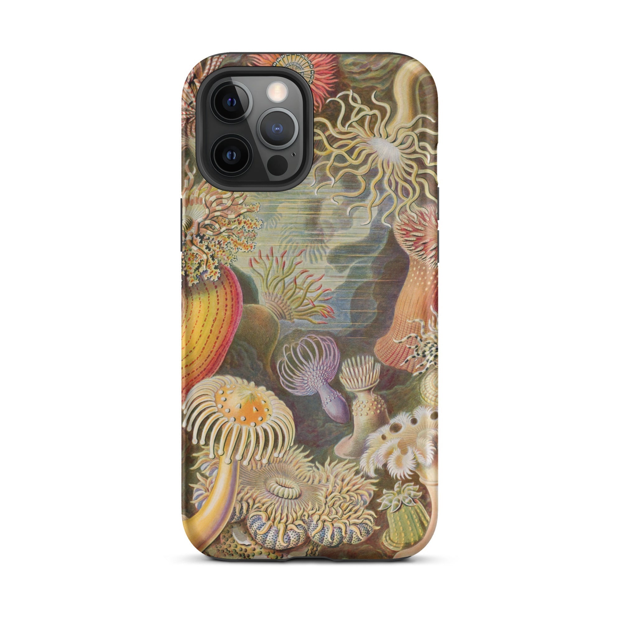 Sea Anemones Ernst Haeckel Iphone Case, 12 Pro Max / Matte, Sea Anemone Patterned Phone Case