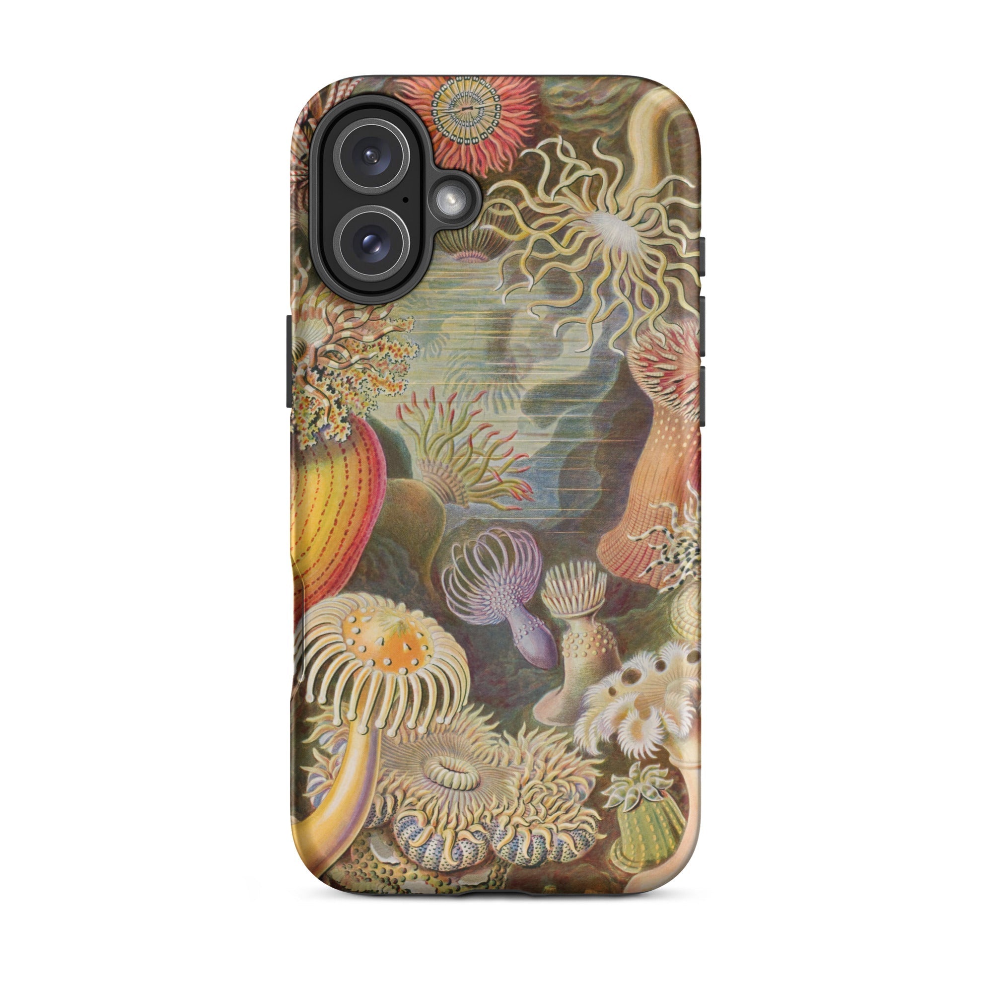 Sea Anemones Ernst Haeckel Iphone Case, 16 Plus / Matte, Sea Anemone Patterned Phone Case