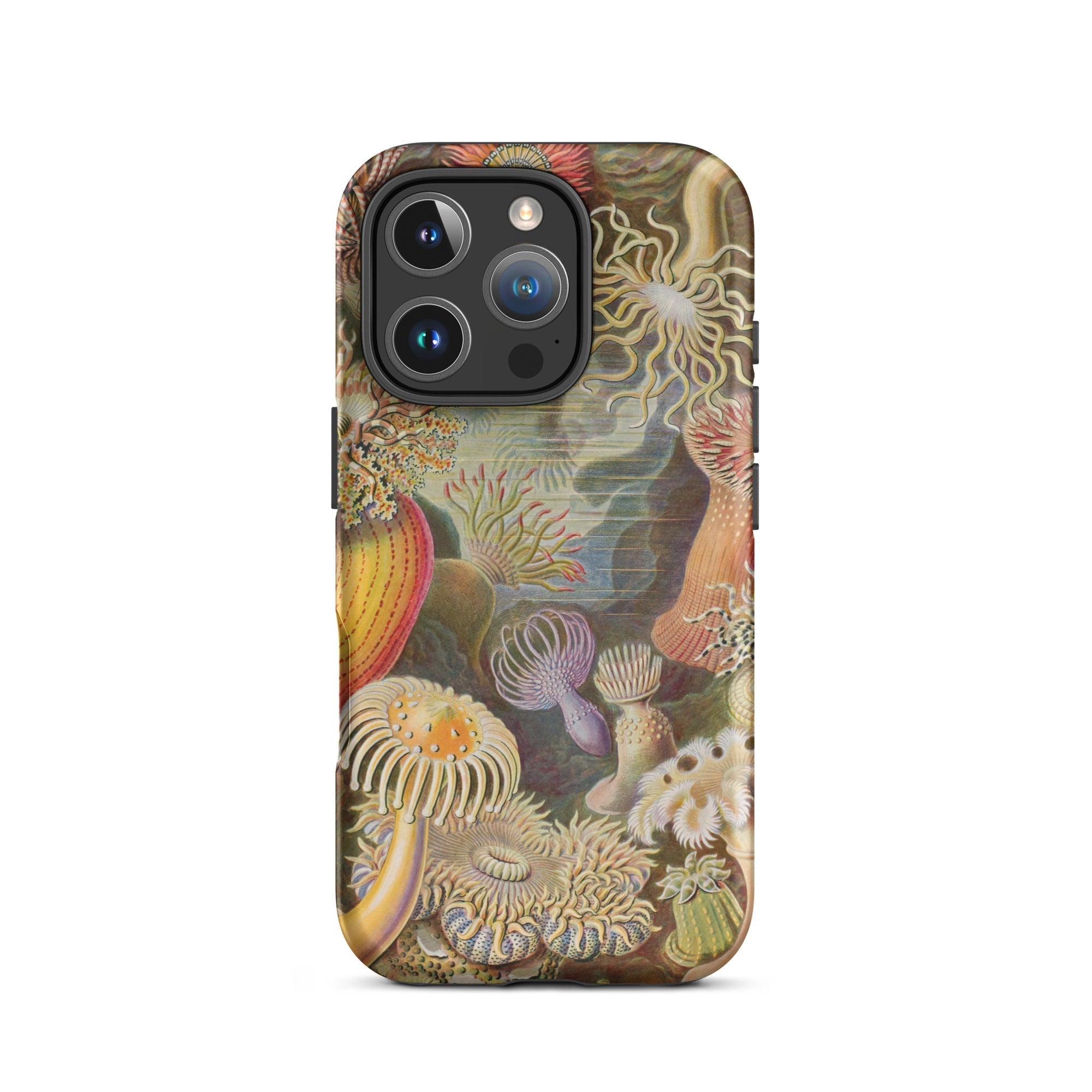 Sea Anemones Ernst Haeckel Iphone Case, 16 Pro / Matte, Sea Anemone Patterned Phone Case