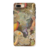Sea Anemones - Ernst Haeckel Phone Case Iphone 8 Plus / Matte Sea Anemone Patterned Phone Case Ernst Haeckel, Sentient Flares, Cup-spined