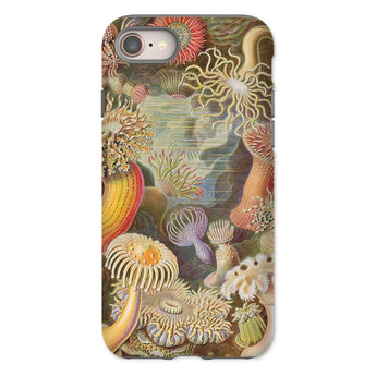 Sea Anemones - Ernst Haeckel Phone Case Iphone 8 / Matte Sea Anemone-patterned Phone Case Ernst Haeckel, Sentient Flares, Cup-spined