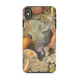 Sea Anemones - Ernst Haeckel Phone Case Iphone Xs Max / Matte Sea Anemone Patterned Phone Case Ernst Haeckel, Sentient Flares, Cup-spined