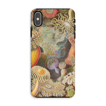 Sea Anemones - Ernst Haeckel Phone Case Iphone Xs Max / Matte Sea Anemone Patterned Phone Case Ernst Haeckel, Sentient Flares, Cup-spined